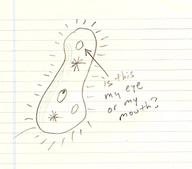contractile_vacuole4.jpg