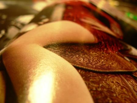 dolly_partons_leg.jpg dolly_partons_leg.jpg