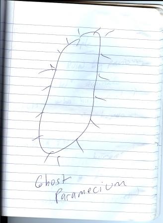 ghost_paramecium.jpg