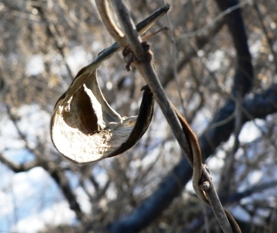 hammock.jpg