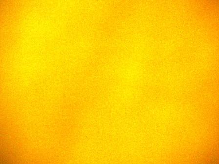 mustard.jpg mustard.jpg
