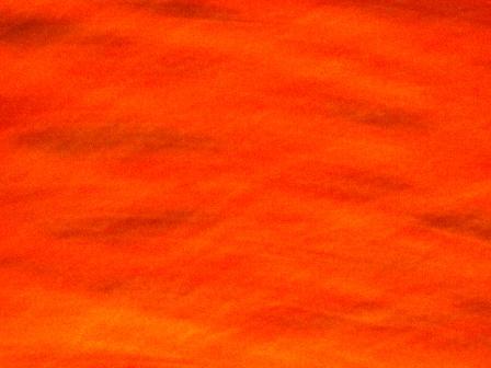 orange2.jpg orange2.jpg