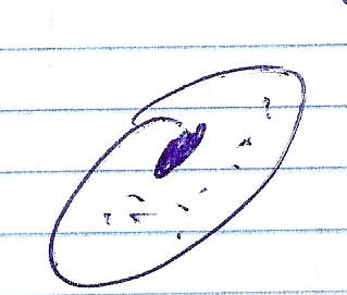 paramecium1.jpg paramecium1.jpg