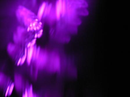 violight.jpg
